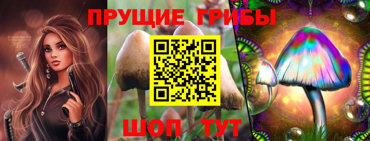 Клин  Псилоцибиновые грибы прущие грибы  наркота  Галлюциногенные грибы мухоморы  Вход с VPN 